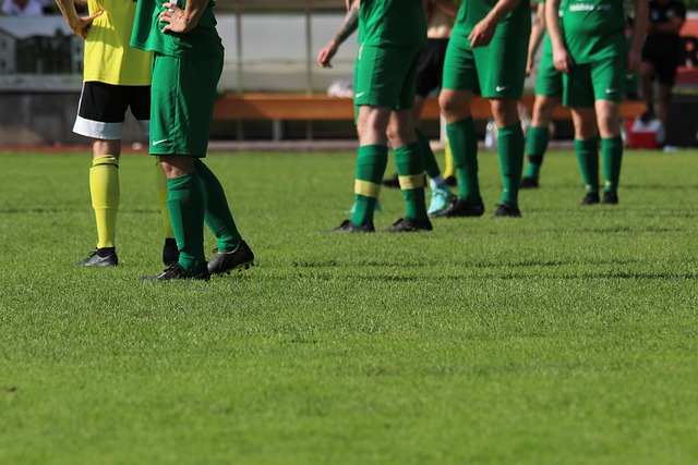 林狼的防线 林狼的防线