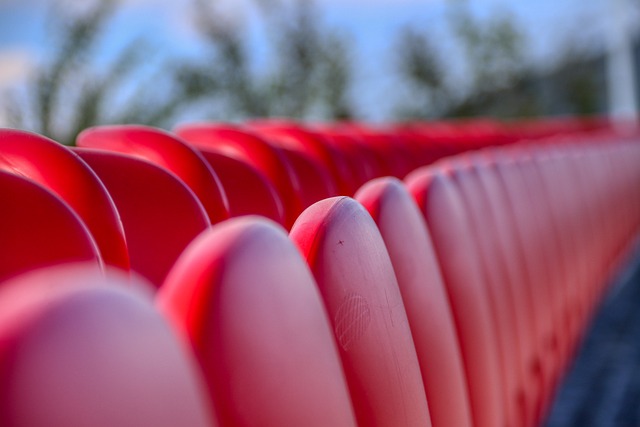 球队的资深 球队的资深