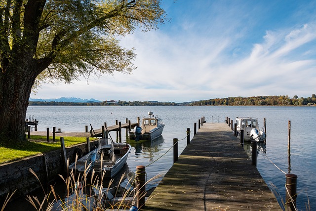 在國內賽事 在國內賽事