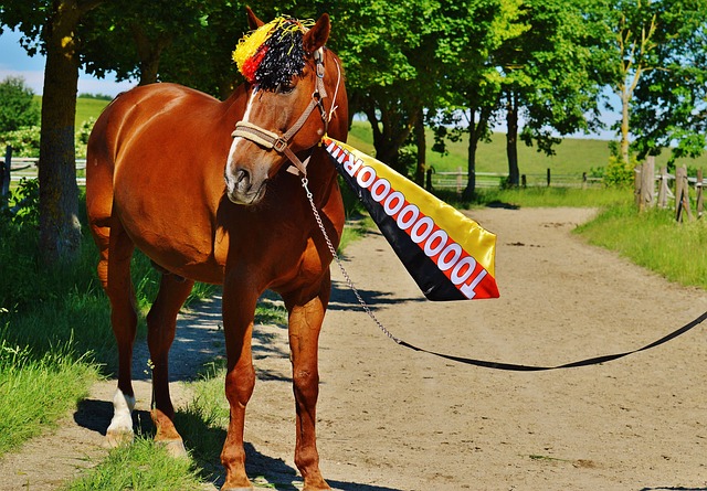 前場創造力 前場創造力