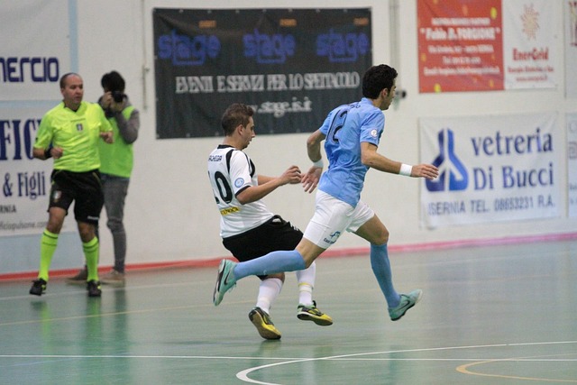 中国新星斯 中国新星斯