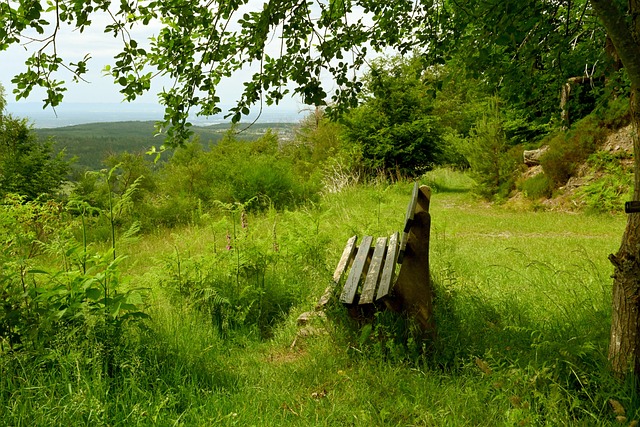 导和资金支 导和资金支