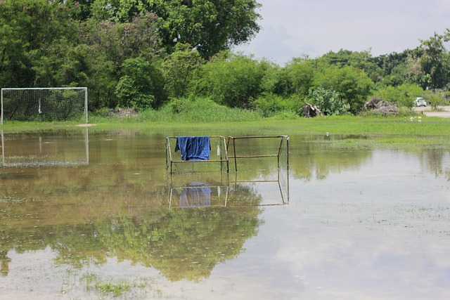 深圳最新隱世紅葉林　打卡寶安落羽杉棧道　順道去鯤鵬徑行山.