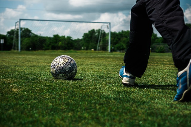 的完美结合 的完美结合