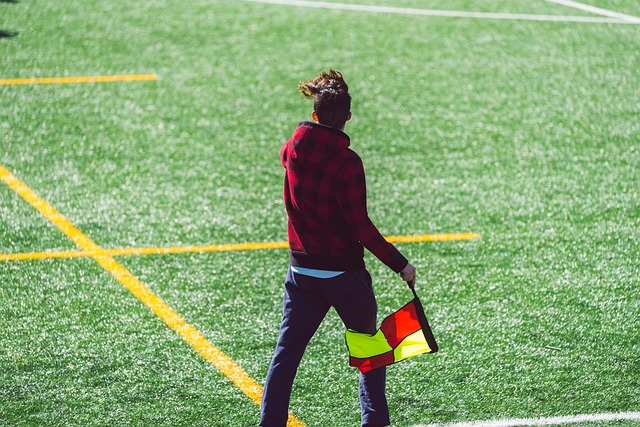 正如雷迪克 正如雷迪克